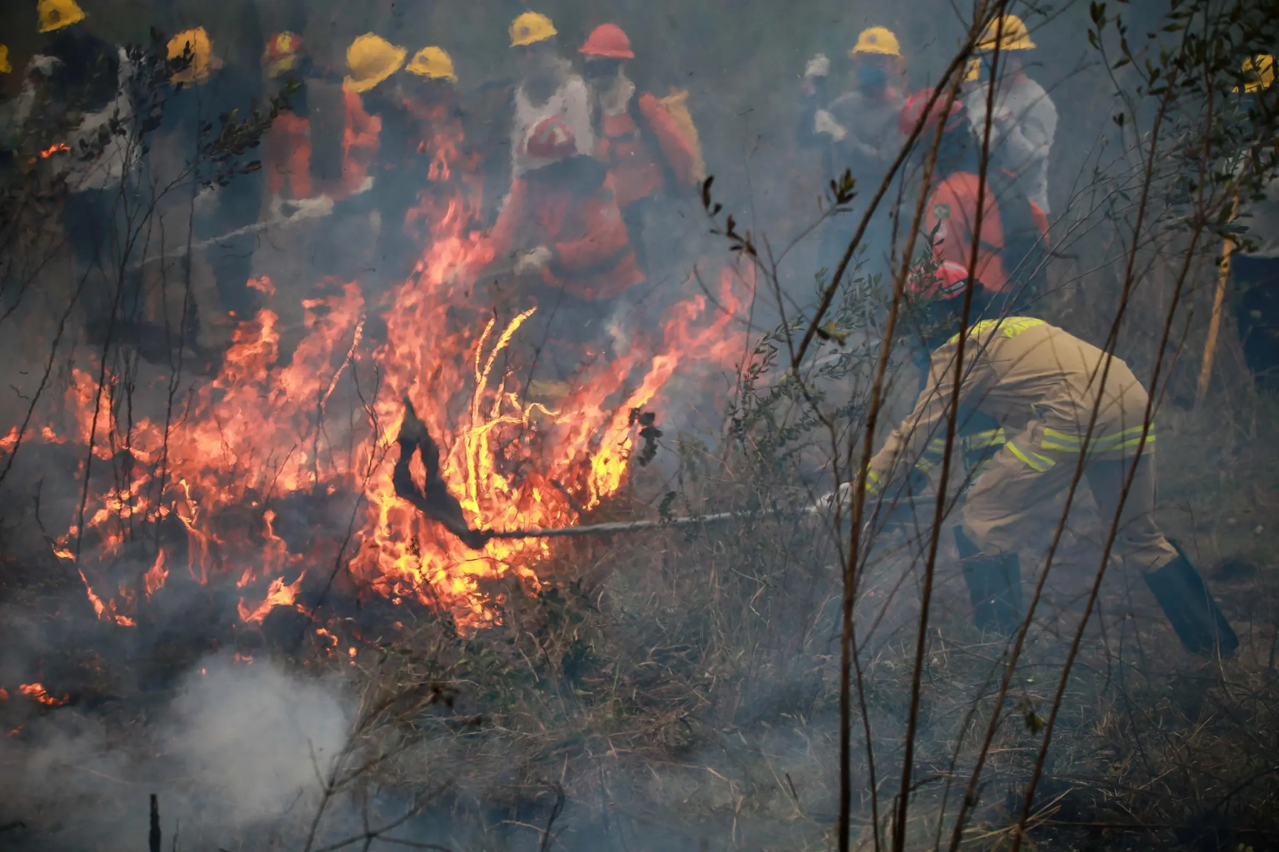 IAT emite alerta para risco elevado de incêndio em Unidades de Conservação no fim de semana