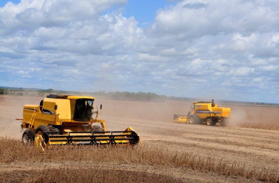 Valor Bruto da Produção agropecuária em Mato Grosso do Sul soma quase