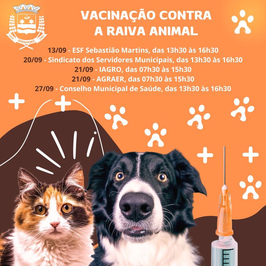 Batayporã realiza campanha de vacinação antirrábica para cães e gatos;