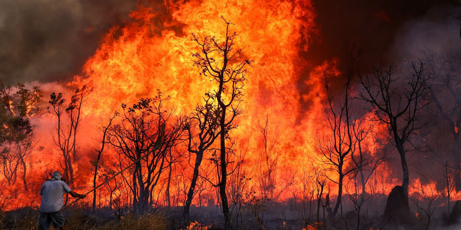 Incêndio de grandes proporções atinge Parque Nacional de Brasília