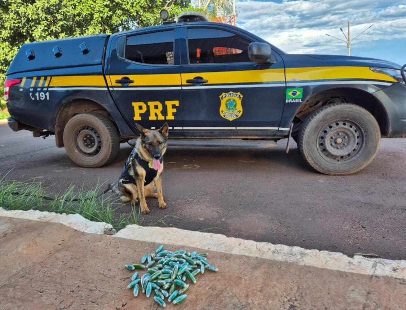 Boliviano é preso pela PRF com cocaína presa ao corpo em Terenos