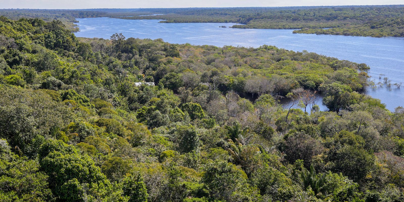 Desmatamento na Amazônia cai 30,6% com menor área desmatada desde 2013