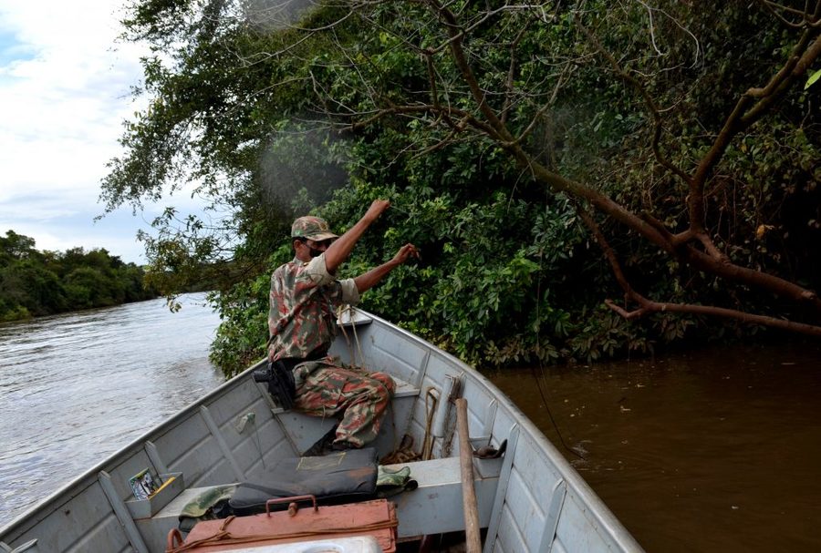 Polícia Militar Ambiental divulga balanço da primeira semana da