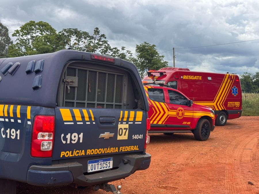 Homem morre após ser atacado por abelhas durante perseguição policial