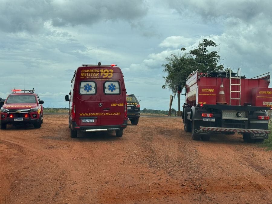 Homem que morreu após ser atacado por abelhas durante