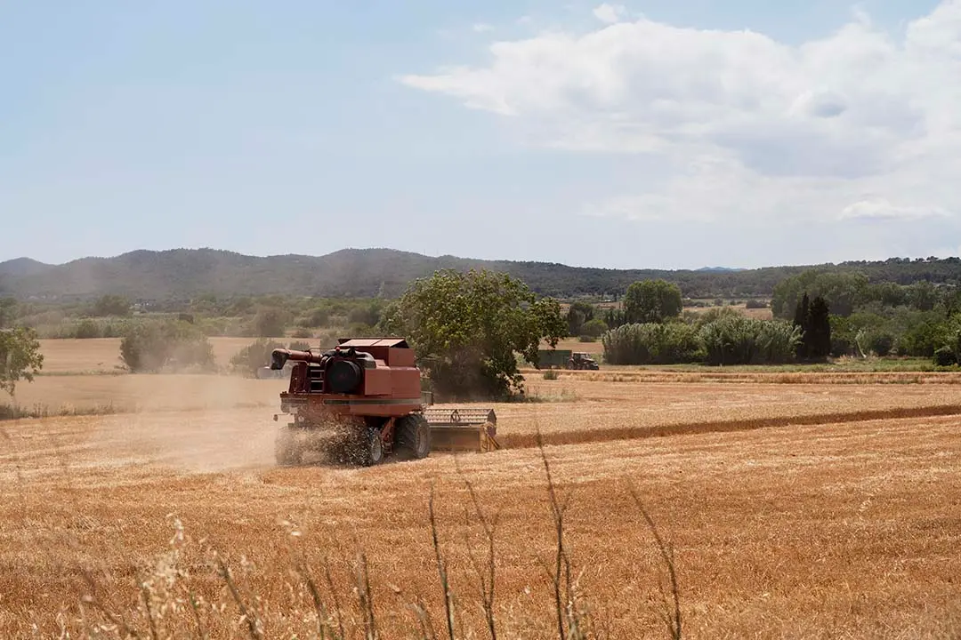 O crescimento do mercado de software para agricultura