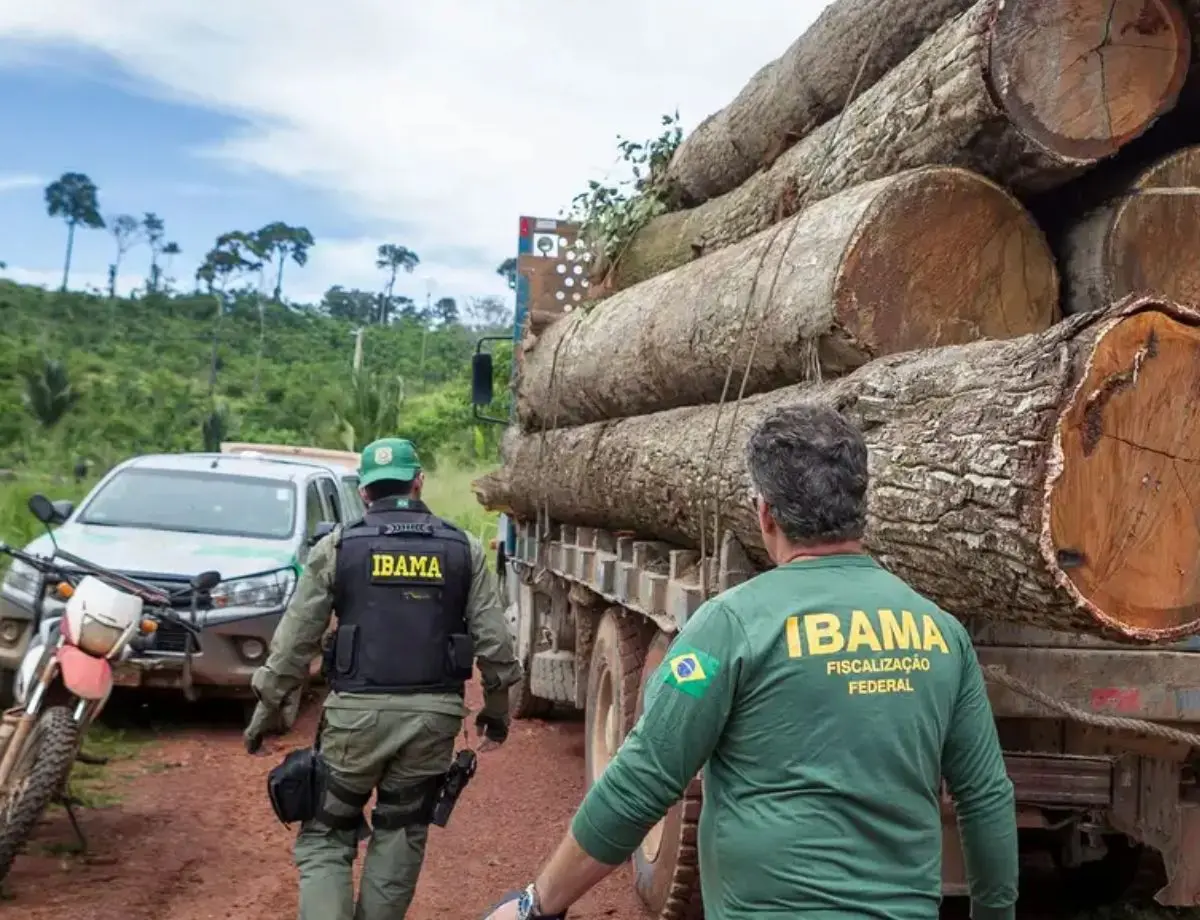 Concurso do Ibama terá 460 vagas com salários de R$ 9,9 mil