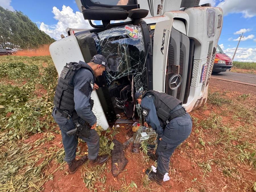 Condutor perde controle de direção e carreta carregada com gado tomba