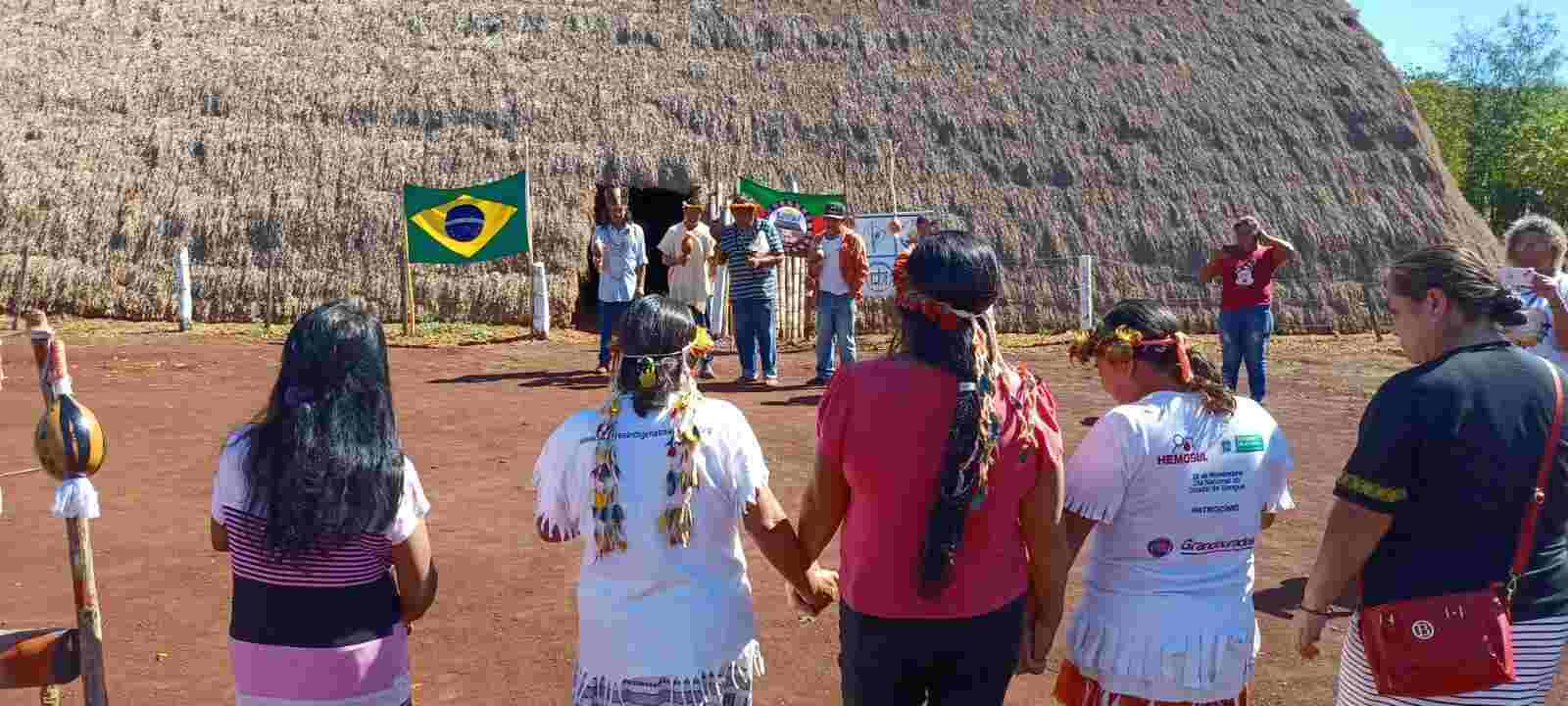 Da biodiversidade ao conflito por terras, entenda o impacto do marco temporal em MS