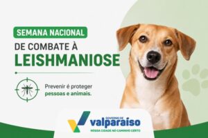 SEMANA NACIONAL DE COMBATE À LEISHMANIOSE REFORÇA CUIDADOS CONTRA A DOENÇA